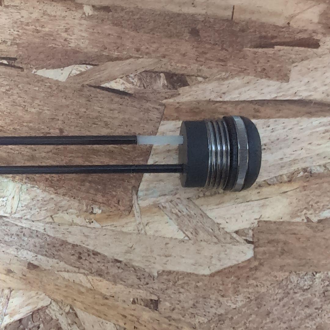 daiwa Black Lady IKADA ダイワ ブラックレディ ロッド