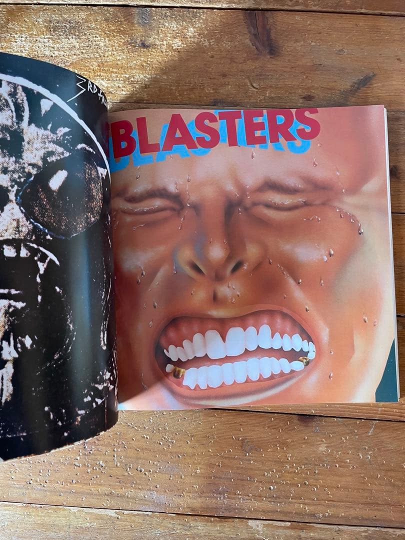 洋書 HARDCORE CALIFORNIA 1983