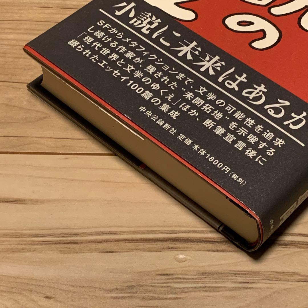 初版帯付 筒井康隆 小説のゆくえ 中央公論新社刊