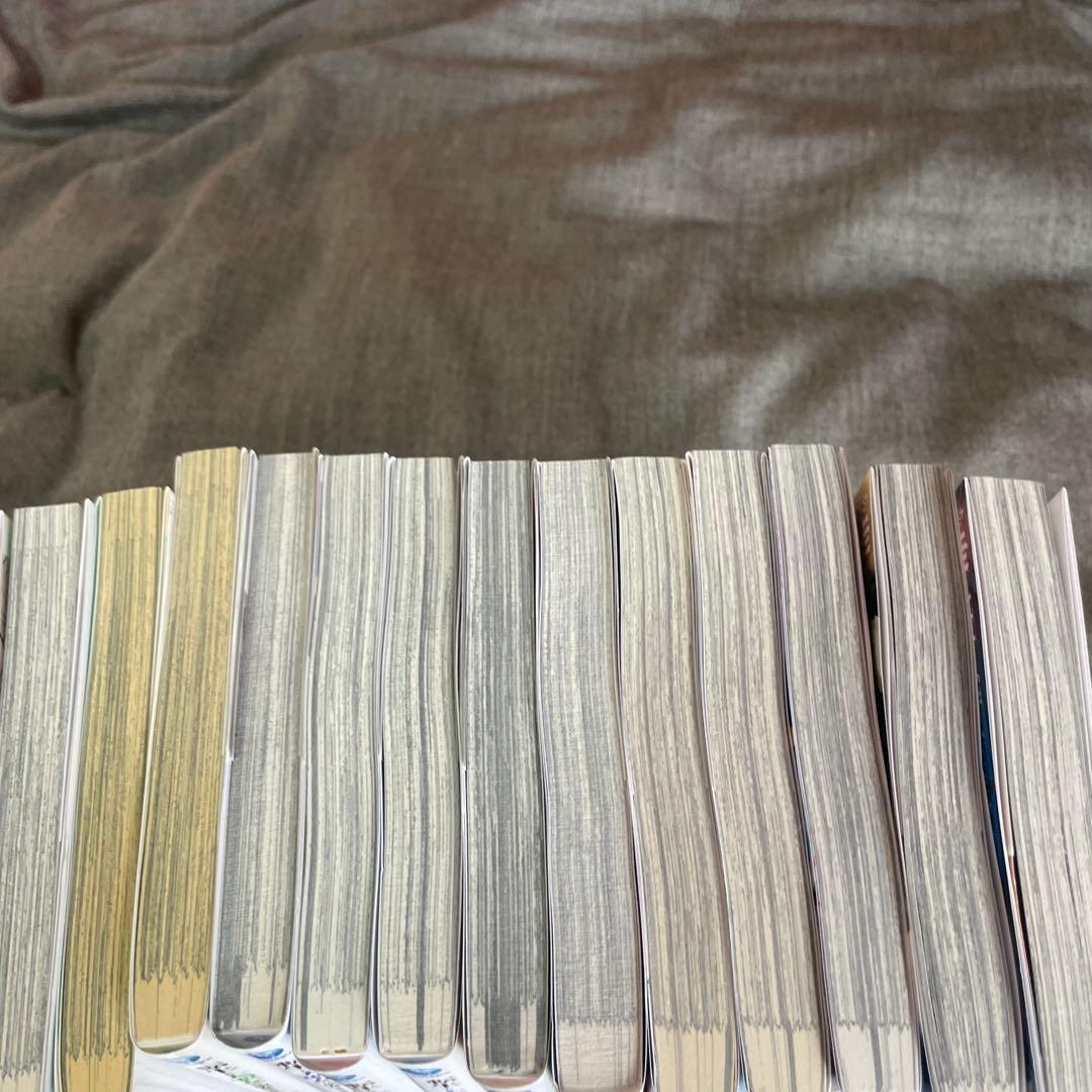 転生した大聖女は、聖女であることをひた隠す 1〜13巻