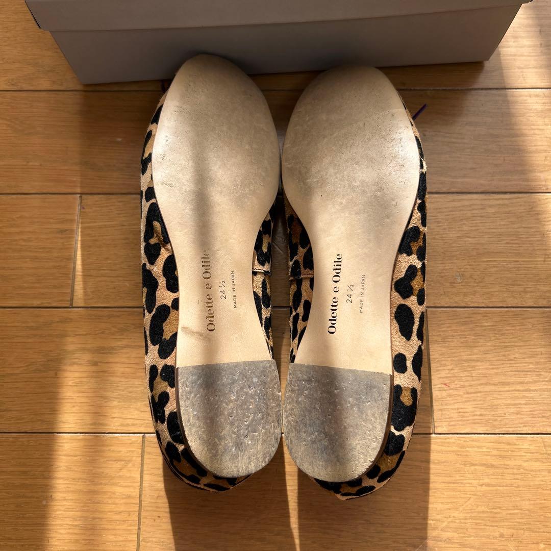 かわまん　24.5㎝　Odette e Odile レオパード