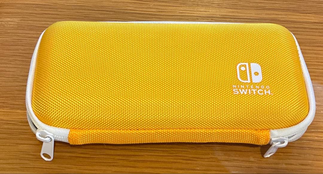 Switch ライト　ケース付き