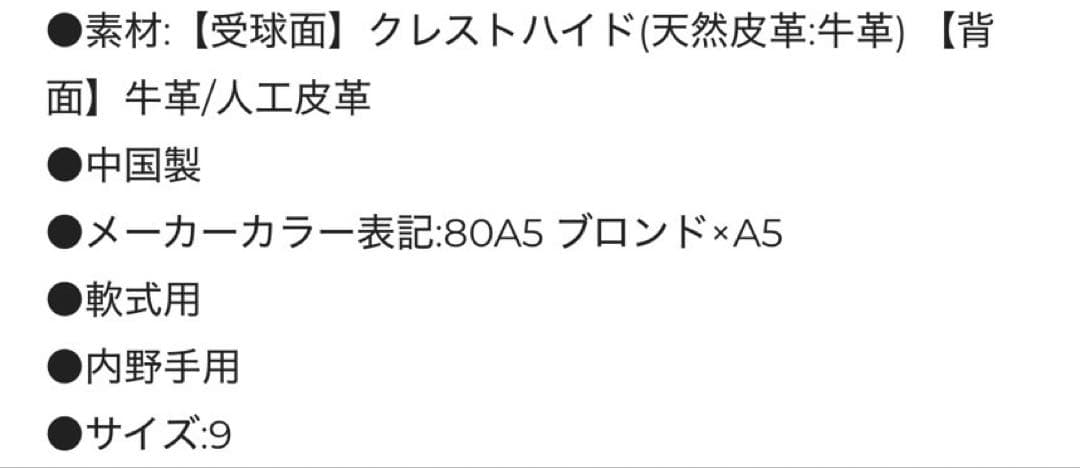 ✨Mizuno Pro✨軟式グローブ ⚾️