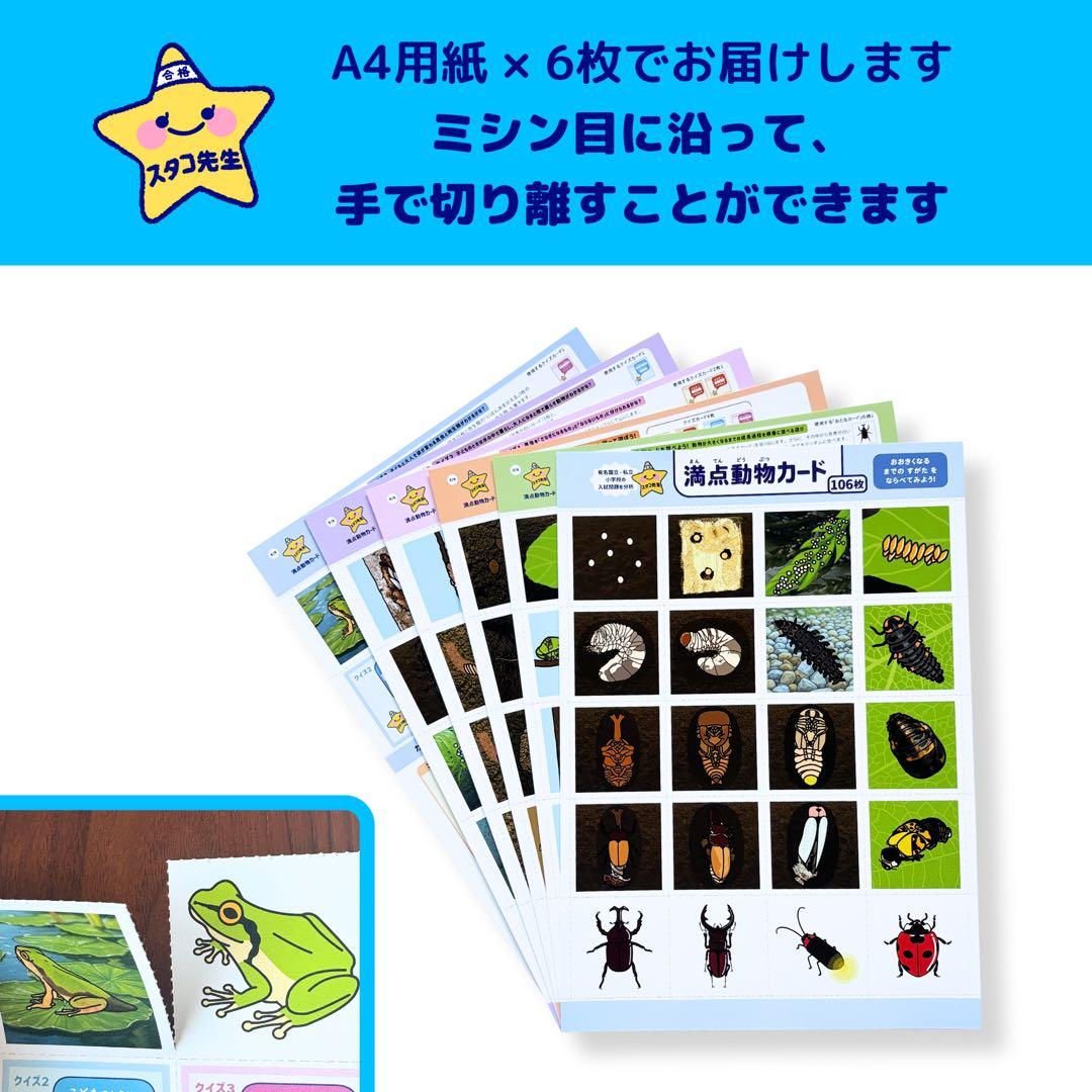 小学校受験　季節　季節カード (ミシン目あり) お風呂ポスター　季節のお勉強