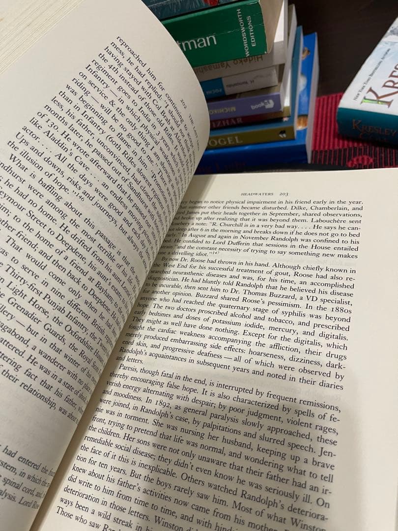 洋書 The Last Lion Winston Spencer Churchill