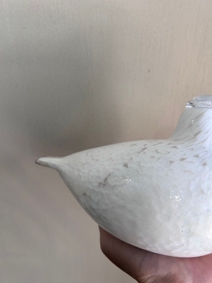 イッタラバード オイバトイッカ 雷鳥