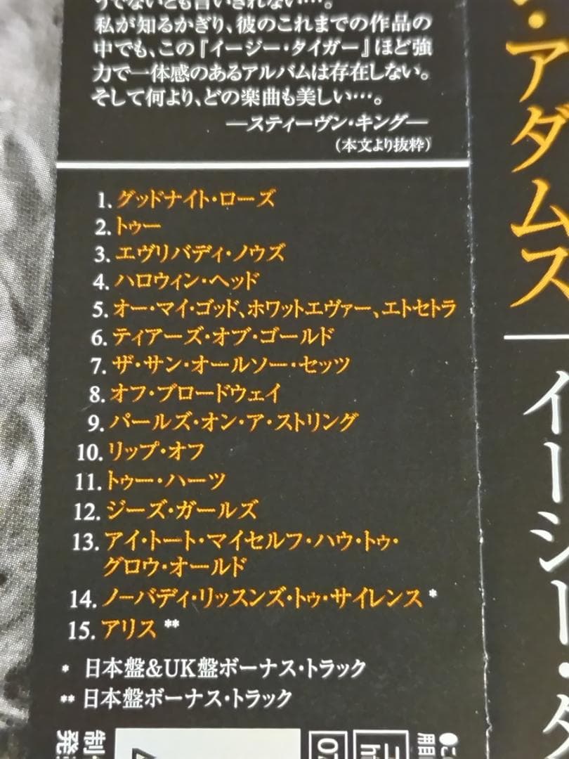 ● 稀少 ライアン・アダムス CD13組＋ギタースコア2冊 国内盤コンプリート●