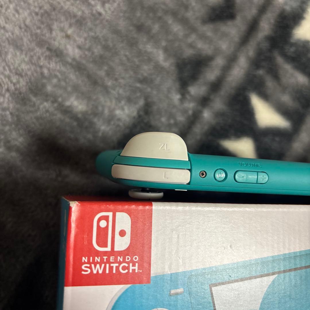 Switchライト箱充電器付き ケース付き