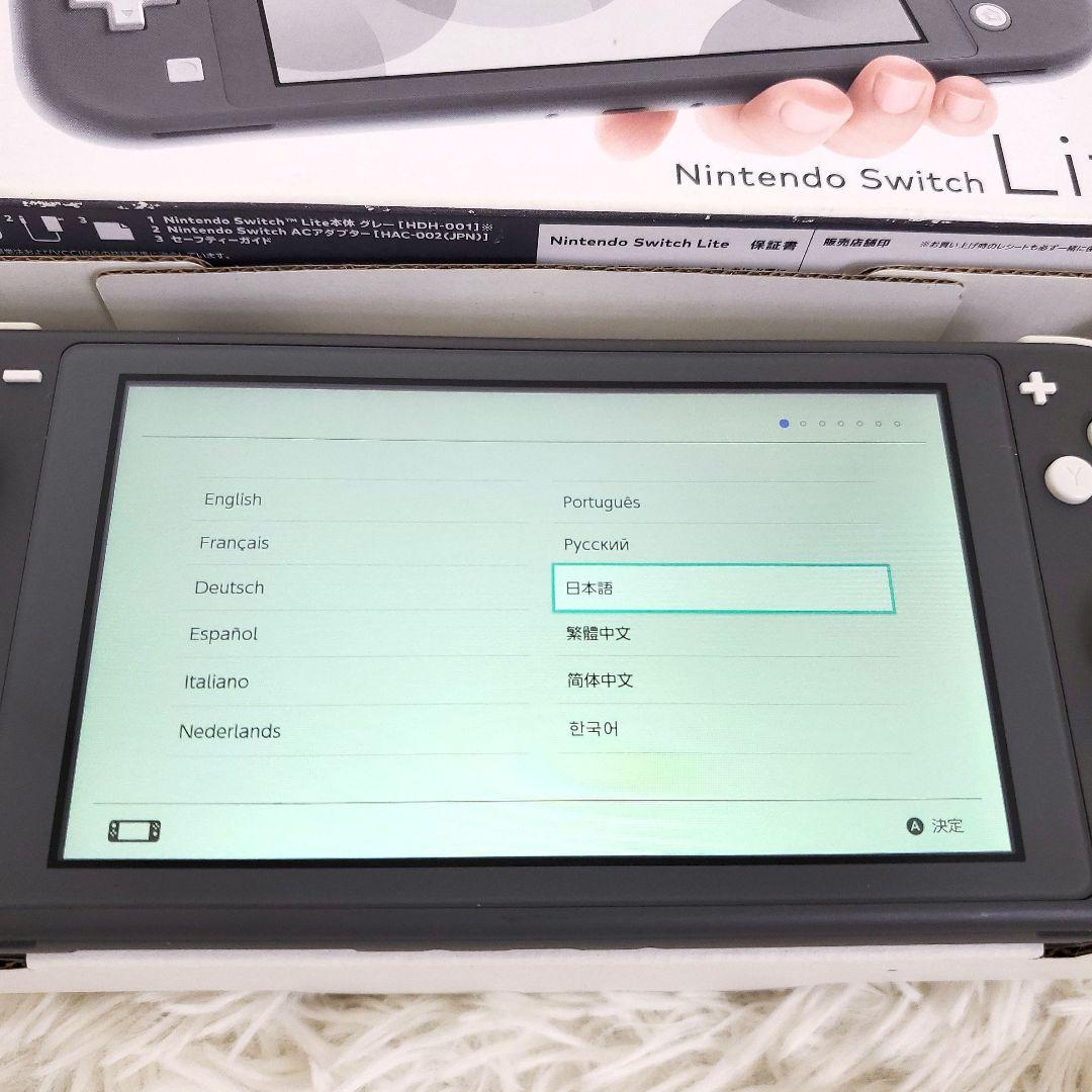 専用 Nintendo Switch Lite グレー 本体