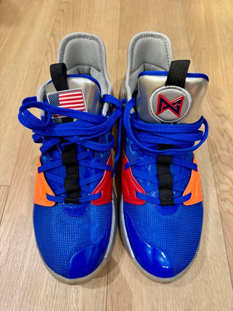 【新品未使用】PG3 NASA EP ポールジョージ 26cm 廃盤モデル