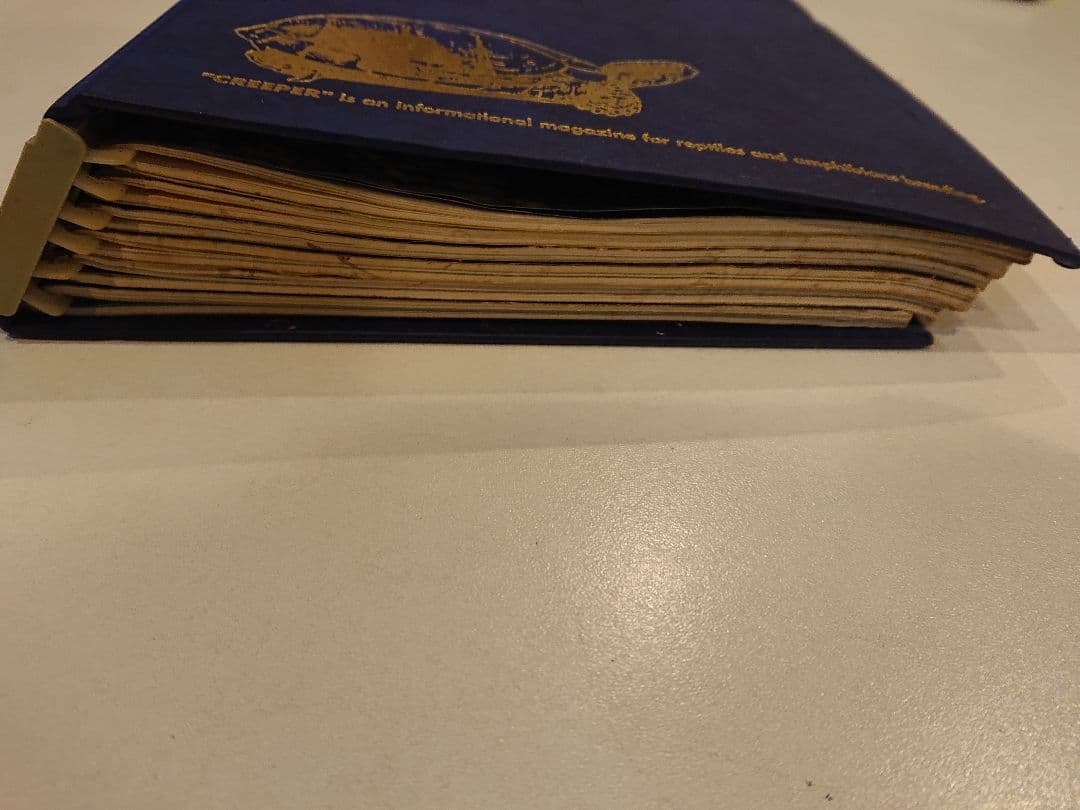 クリーパー 6冊 爬虫・両生類情報誌 創刊3号No.6・8・11・20・22