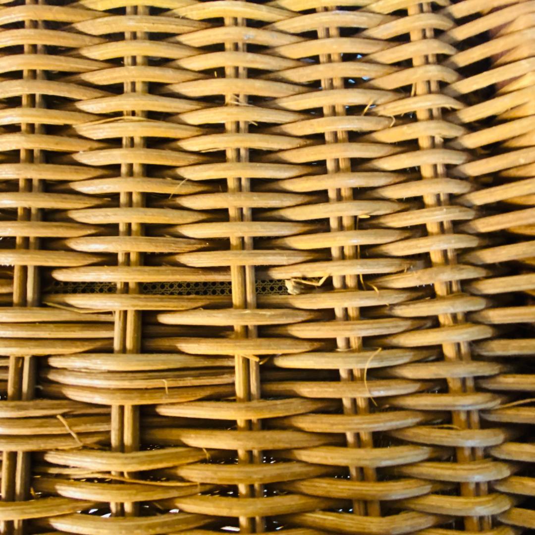 ラタン 籐 籠 蓋付 フタ 脚付 W45.5cm D29.5cm H49.5cm