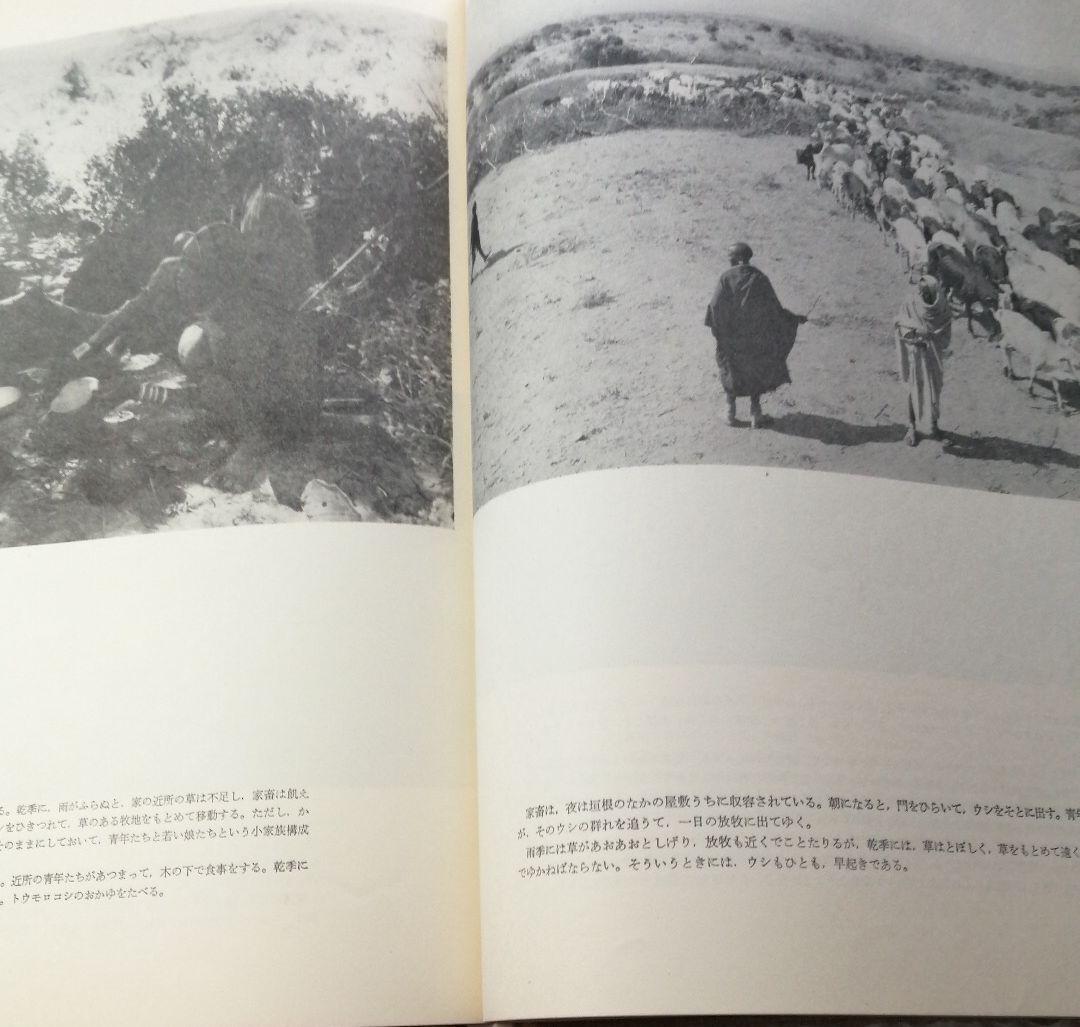 アフリカ社会の研究　上下巻　京都大学アフリカ学術調査隊報告　今西錦司　梅棹忠夫