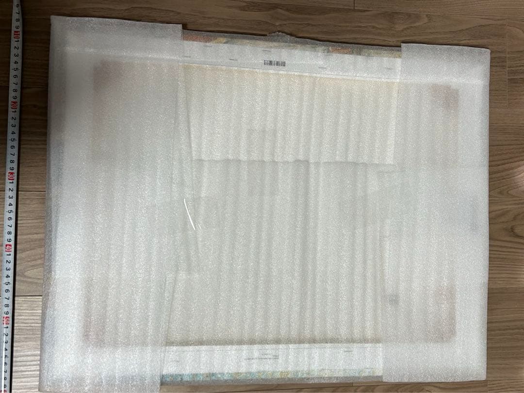 希少⭐️ドーブルゴッホポケモンキャンバスアート証明書付