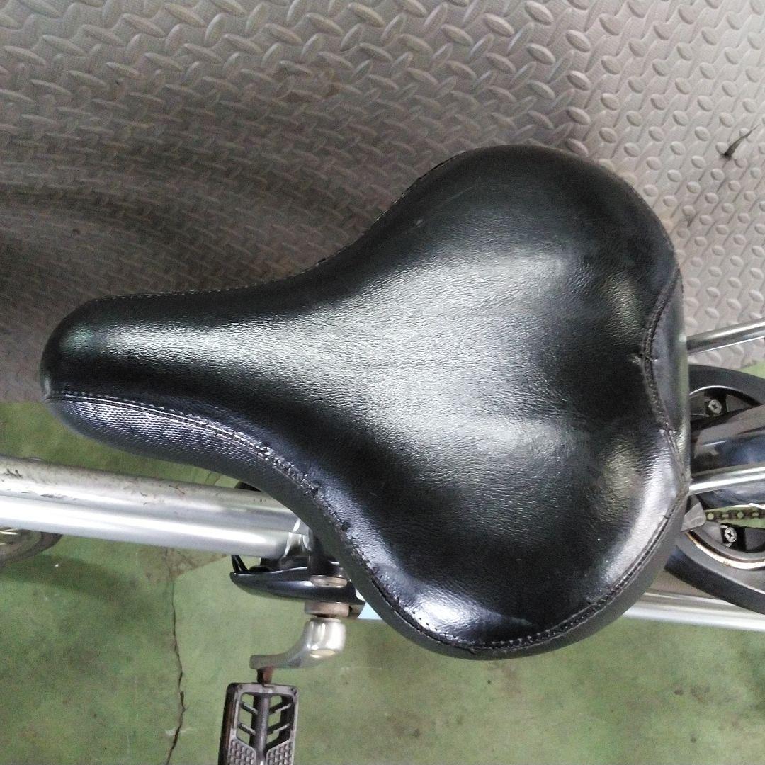 [318]※バッテリー・充電器なし　Kapia ビビチャージWT