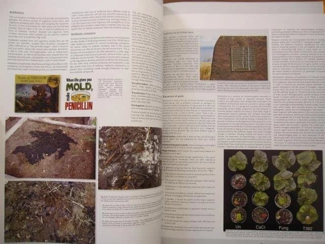 洋書 European Atlas of Soil Biodiversity