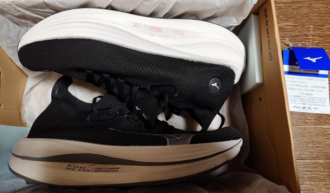 ミズノ ネオビスタ 27cm