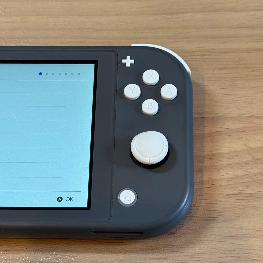 9-025 Switch Lite グレー