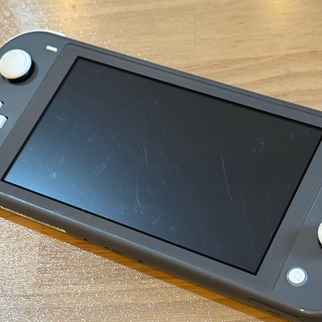 9-025 Switch Lite グレー