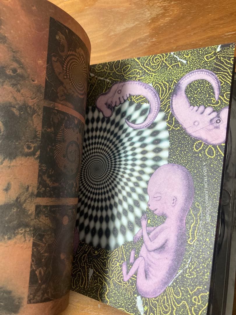 洋楽 Spiral Insana Nurse with Wound