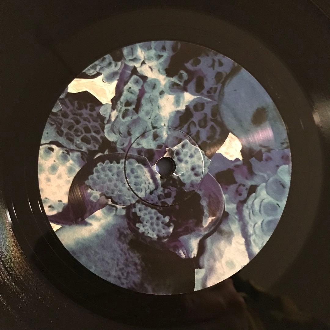 Foals – Total Life Forever アナログレコード LP