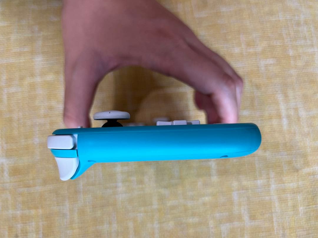 【値下げ】任天堂 Switch light 箱付属