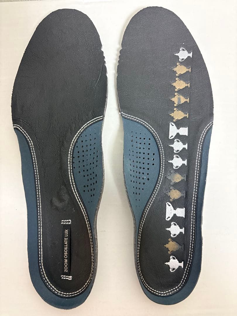 【超希少プレミアム品】NIKE ZOOM OSCILLATE LUX サンプラス