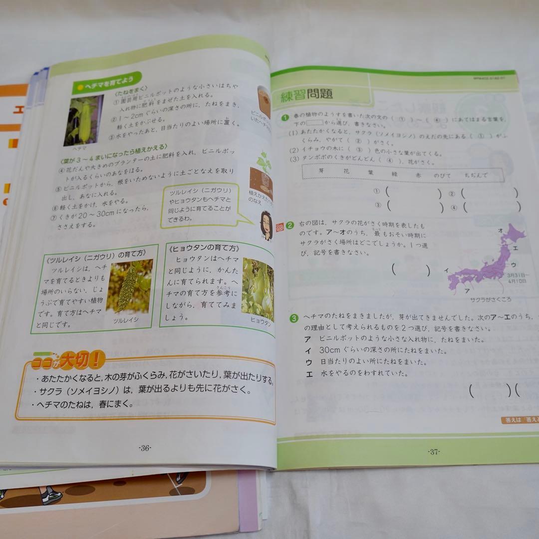 Z会 エブリスタディ 小4 4教科通年 ハイレベル 書き込みなし 付属品完備