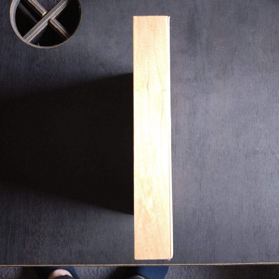 Stussy スケートボード グラフィック 木製 壁掛け オブジェ