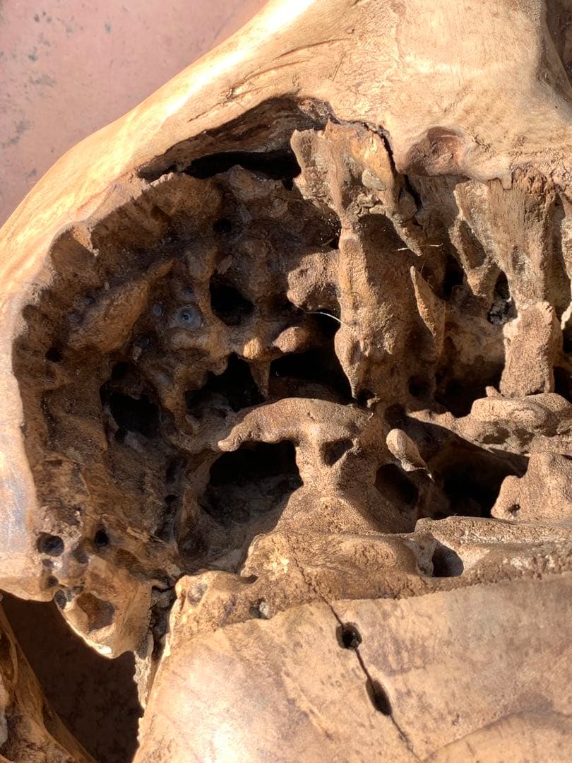 大きめ Cumi stool チュミスツール チーク サイドテーブル 無垢材