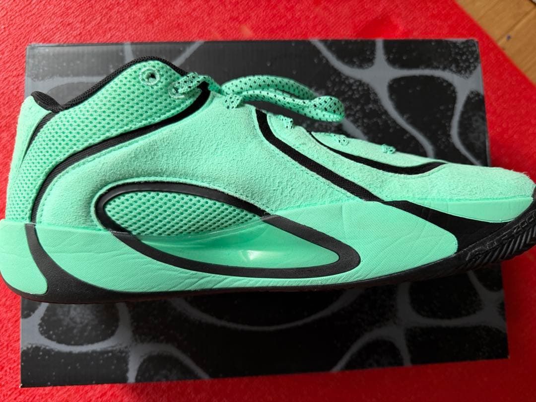 JORDAN Tatum4 The Garden テイタム4