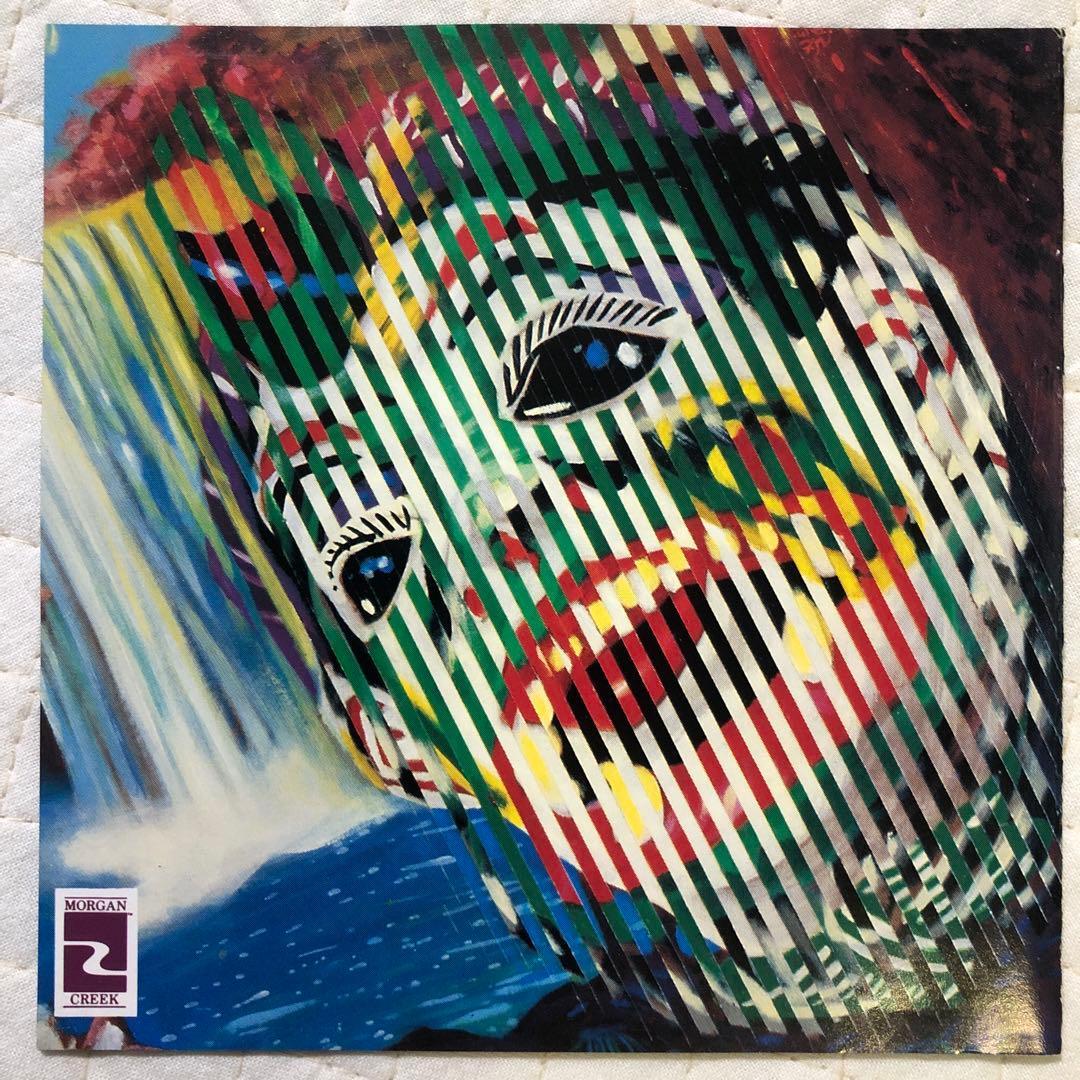 帯付き！国内盤！リトル・フィート / シェイク・ミー・アップ