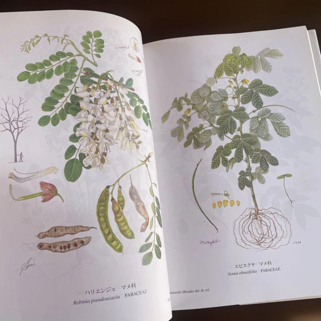 日本の帰化植物図譜