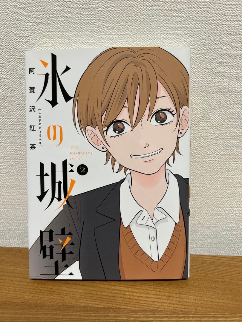 氷の城壁 全10巻セット