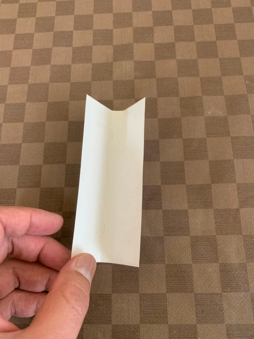 Scorpions animal magnetism レア