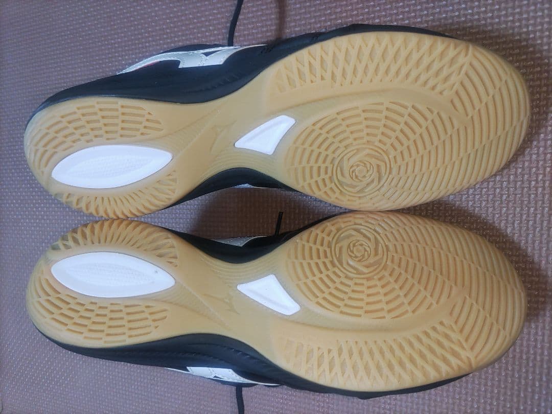 モレリア　サラ　25.5　フットサルシューズ