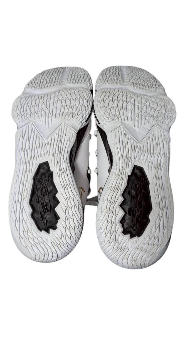 NIKE レブロン17 Low 白金黒 28cm CD5007-101