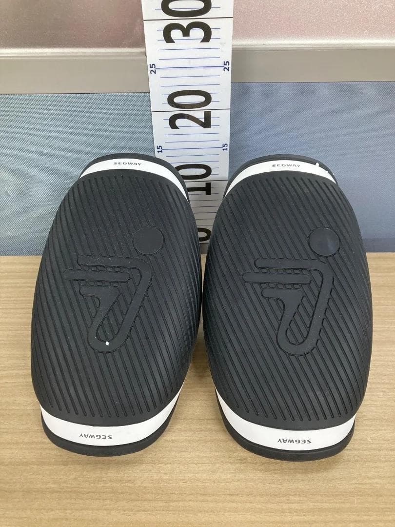 Segway Drift W1（セグウェイドリフトW1）「7290