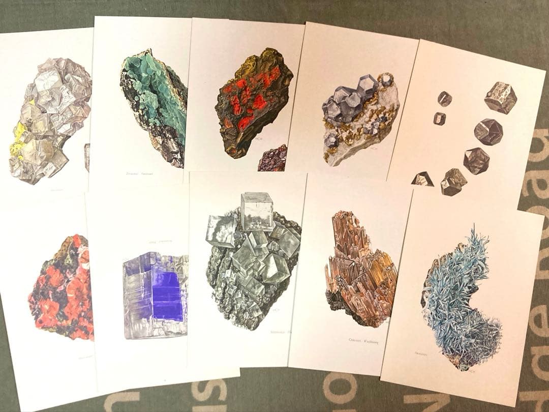 鉱物博物図鑑　1958年（ドイツ）図版ボタニカルアート160枚