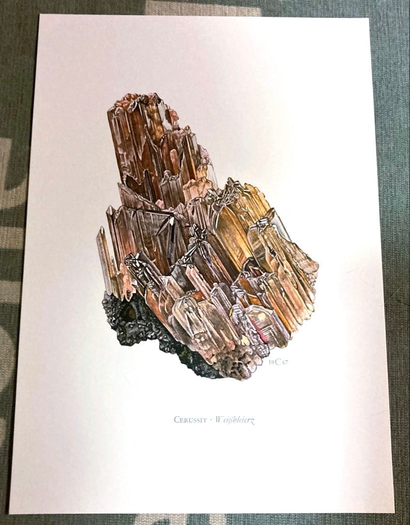 鉱物博物図鑑　1958年（ドイツ）図版ボタニカルアート160枚