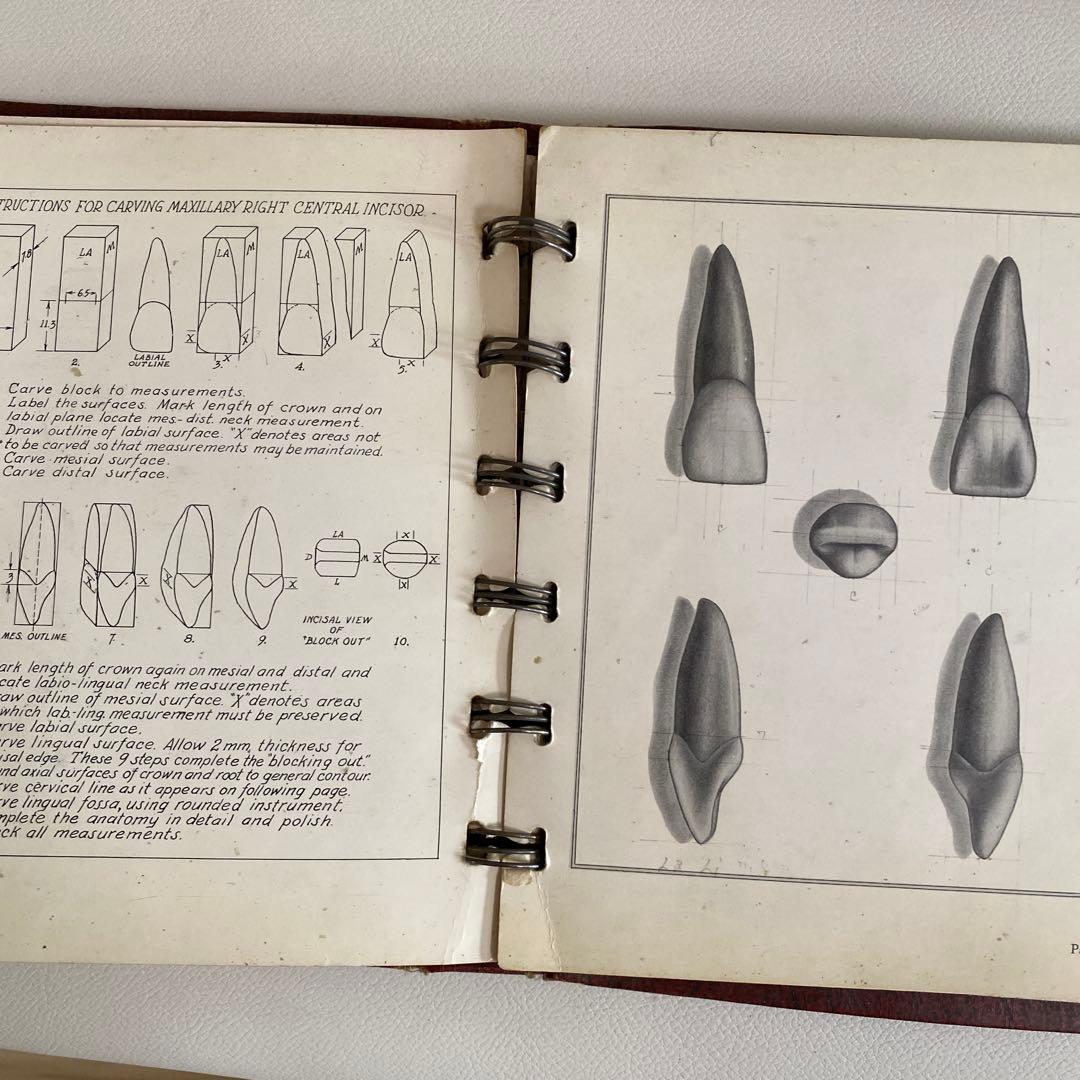 1948-49年 米国歯科 カービング教材 完品