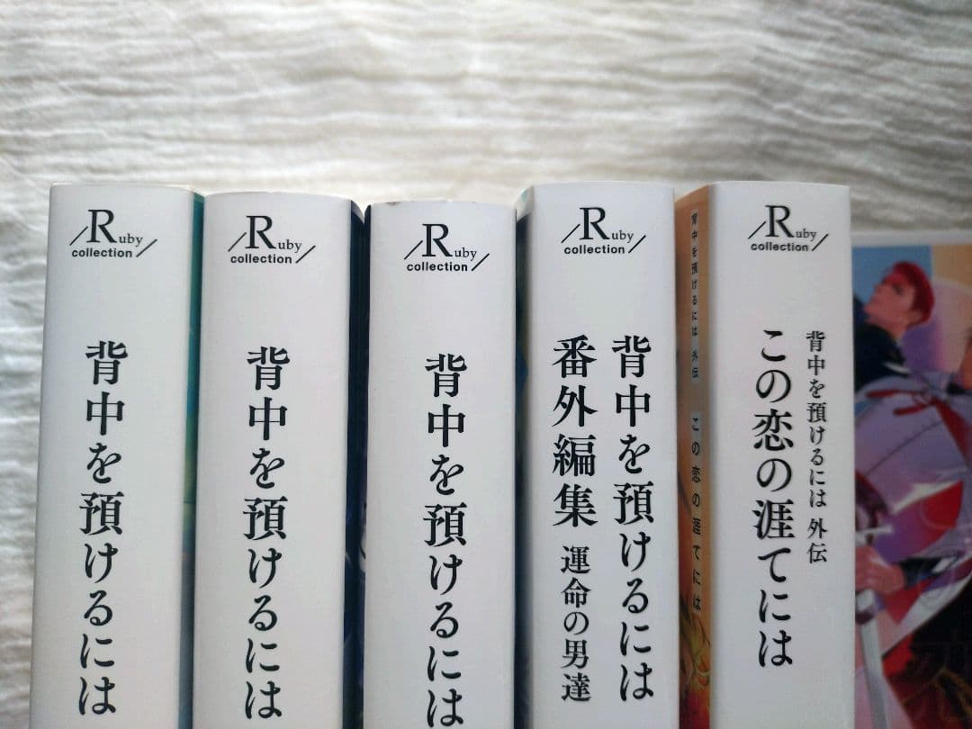 BL 小説 背中を預けるには 完結全5冊 特典つき