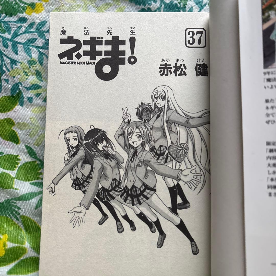 【旧版・絶版・特典未開封品】DVD付き初回限定版 魔法先生ネギま! 37