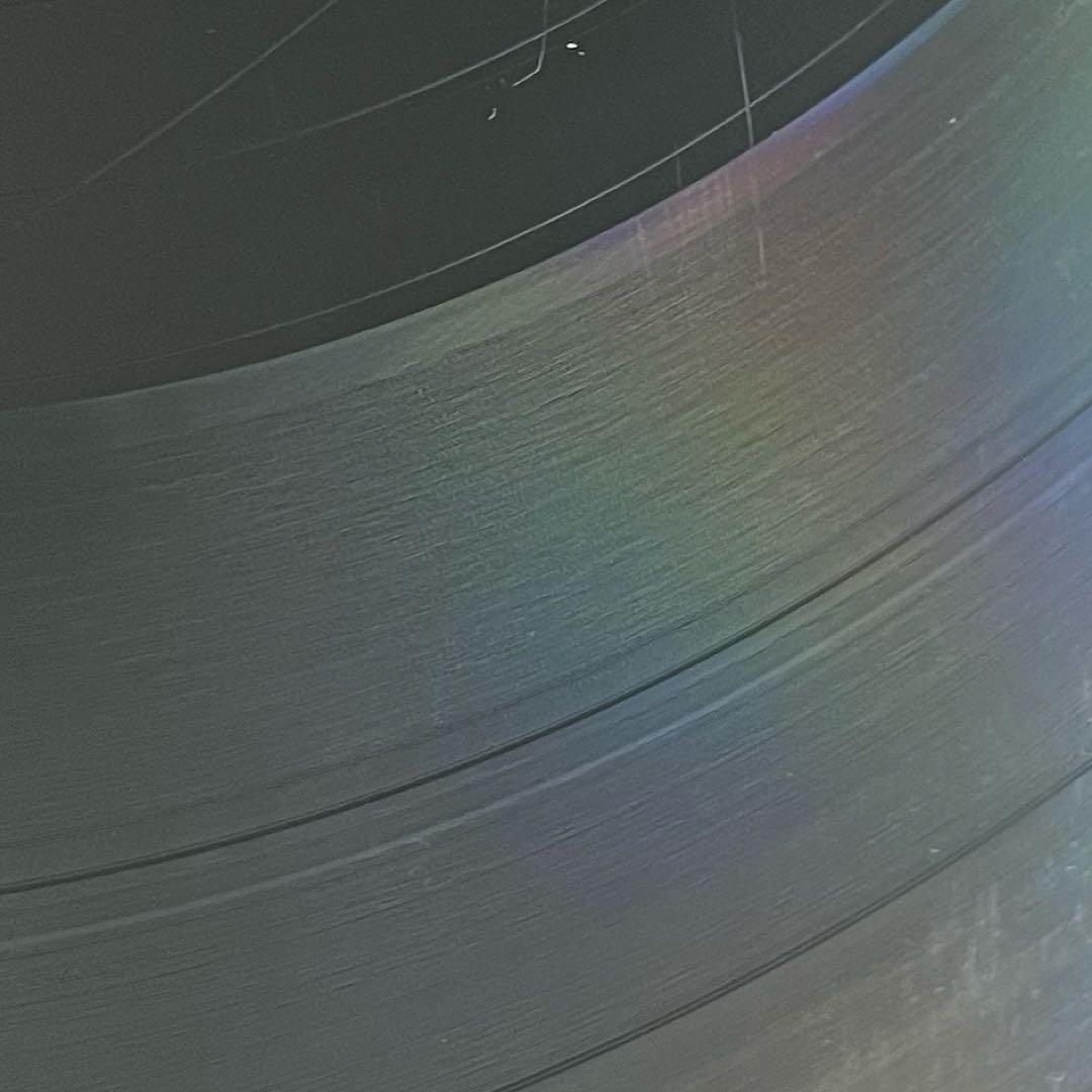 【2LP/US盤】JAY-Z / The Dynasty 3145482031