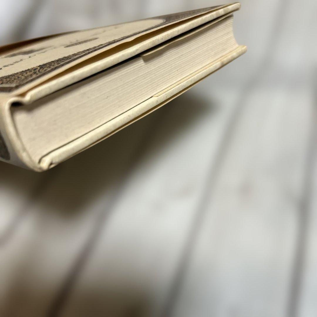 希少　アショーカ王とその時代 山崎元一　春秋社