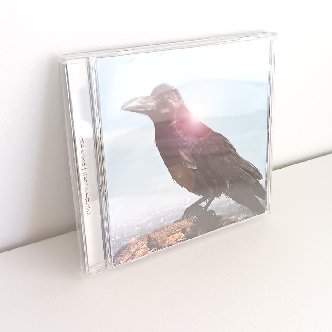 エレファントカシマシ 【CDアルバム　４枚セット】俺の道、風、扉、町を見下ろす丘