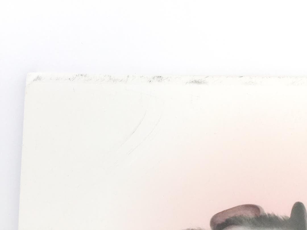 マーク・ライデン　『BUNNIES AND BEES』