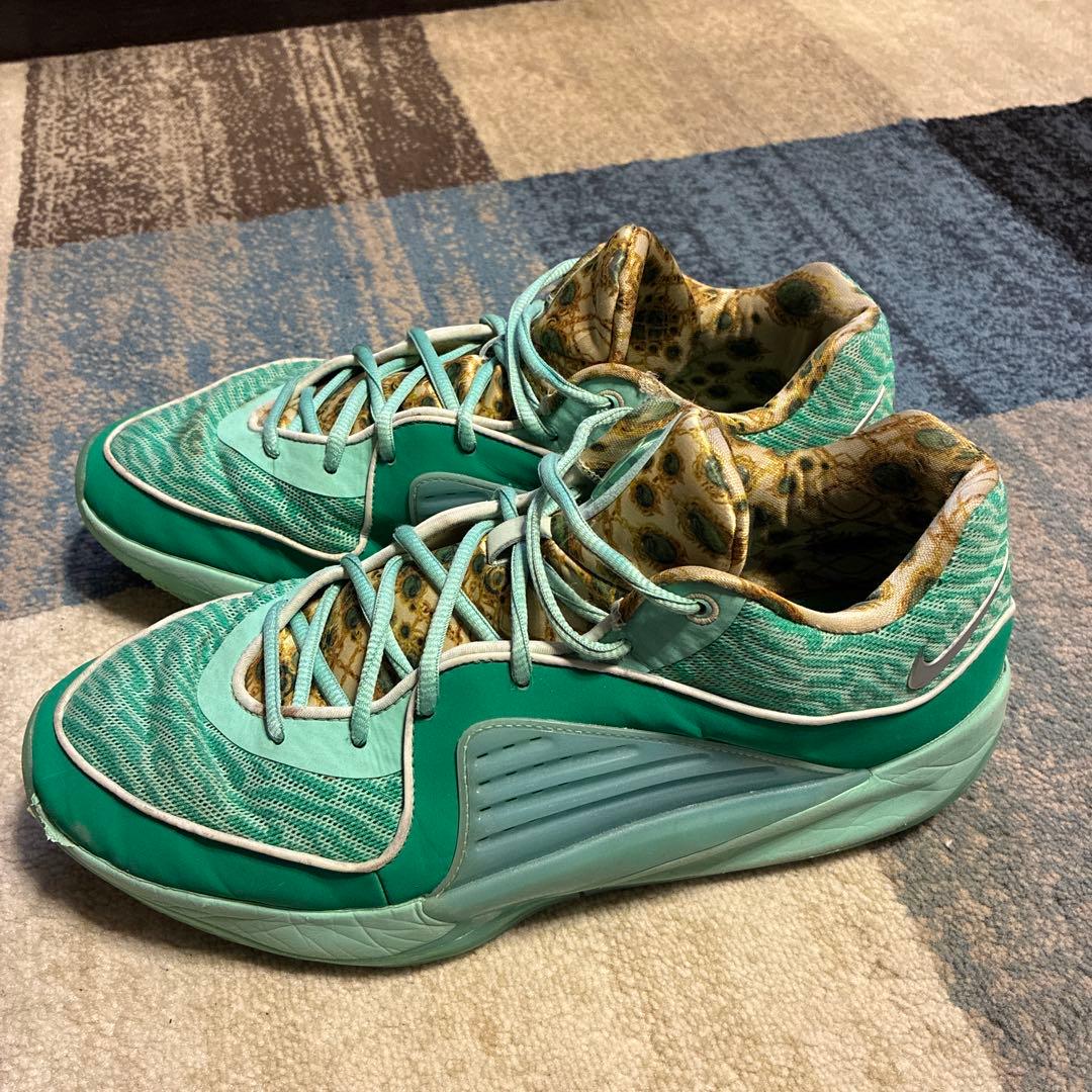 シューズ(男性用) Nike KD16 30cm