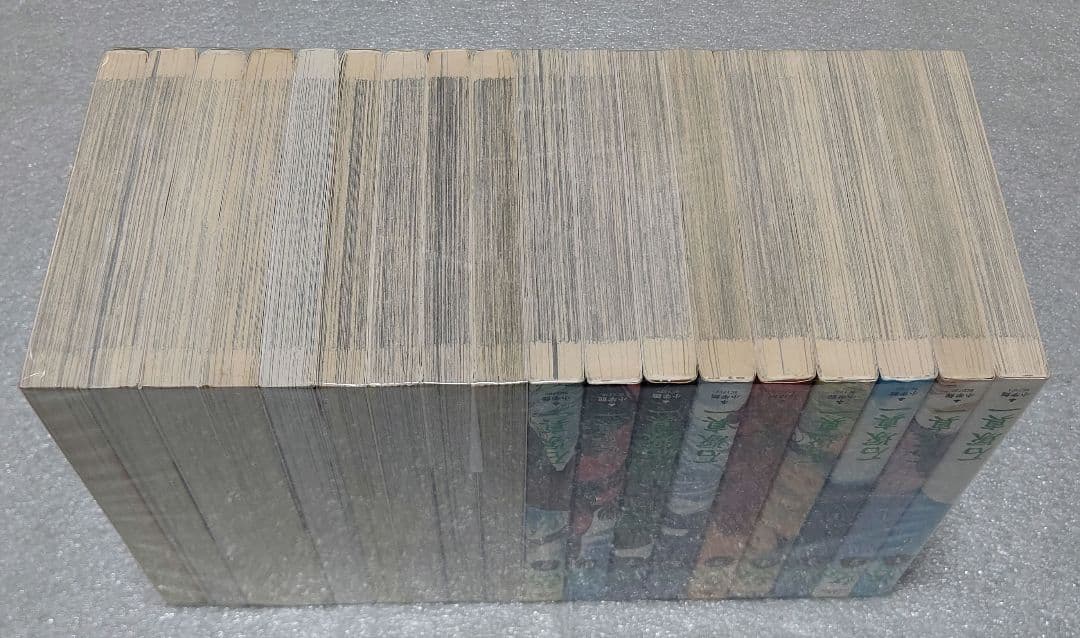 石塚真一 岳 全１８巻セット