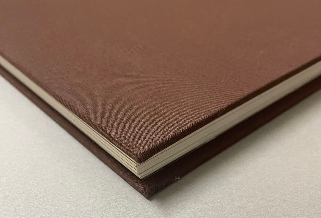 Andrew Wyeth ワイエス a spoken self-portrait